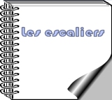 les escaliers métalliques